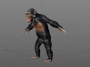 chimpanzee ape rigged animal Model 3D