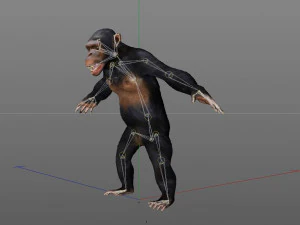 chimpanzee ape rigged animal 3D Model