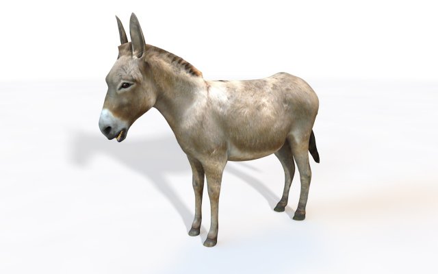 donkey pony rigged animal 3D 모델 .c4d .max .obj .3ds .fbx .stl .blend 