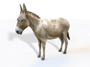donkey pony rigged animal 3D Model