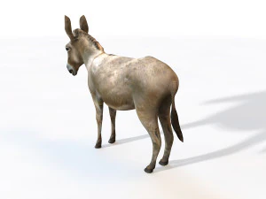 osioł kucyk uzbrojone zwierzę Model 3D