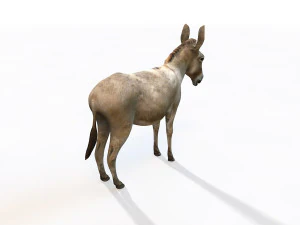 osioł kucyk uzbrojone zwierzę Model 3D