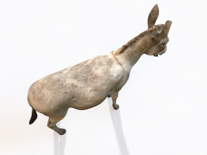 donkey pony rigged animal 3D 모델