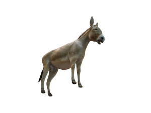 osioł kucyk uzbrojone zwierzę Model 3D