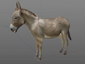 donkey pony rigged animal 3D 모델