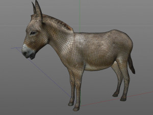 donkey pony rigged animal 3D 모델