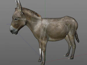 osioł kucyk uzbrojone zwierzę Model 3D