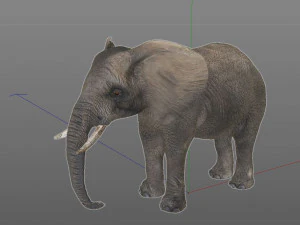 elephant rigged animal 3D Model