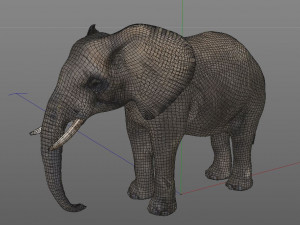 elephant rigged animal Model 3D