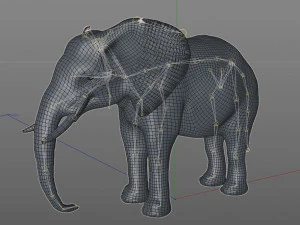 elephant rigged animal 3D Model