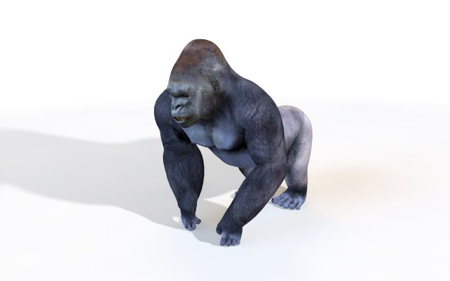 gorilla rigged animal 3D Модель .c4d .max .obj .3ds .fbx .stl .blend 