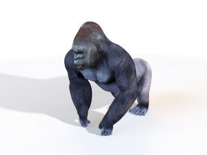 gorilla rigged animal 3D मॉडल