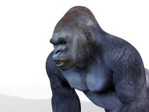 gorilla rigged animal 3D Model