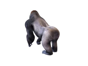 gorilla rigged animal 3D Model