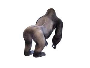 gorilla rigged animal 3D Модель