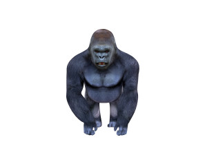 gorilla rigged animal 3D Модель
