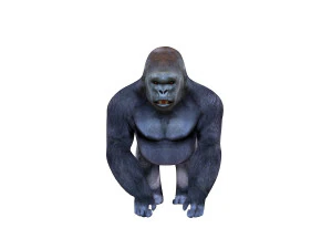 gorilla rigged animal 3D Model