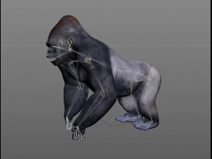 gorilla rigged animal 3D Модель