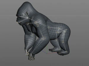 gorilla rigged animal 3D Model