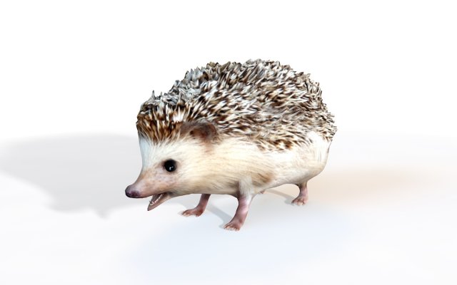 hedgehog rigged animal Model 3D .c4d .max .obj .3ds .fbx .stl .blend 