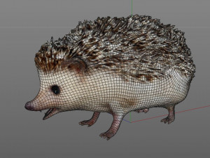 hedgehog rigged animal Model 3D