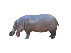 гіпопотам сфальсифікована тварина 3D Модель