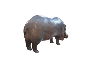 hippopotamus rigged animal Modèle 3D