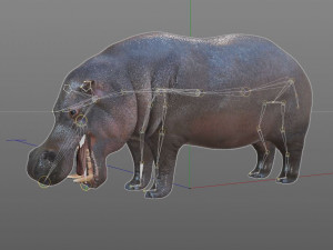 hippopotamus rigged animal Modèle 3D