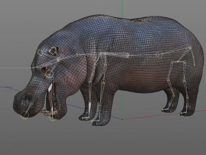 hippopotamus rigged animal Modèle 3D