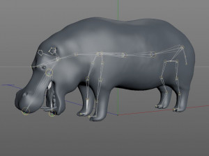 hippopotamus rigged animal Modèle 3D