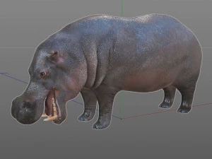 гіпопотам сфальсифікована тварина 3D Модель