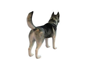 husky dog rigged animal 3D Model