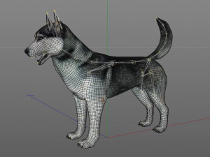 husky dog rigged animal 3Dモデル