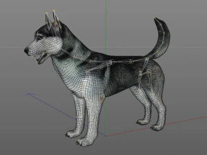 husky dog rigged animal 3D Model