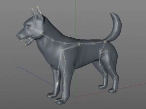 husky dog rigged animal 3D Model