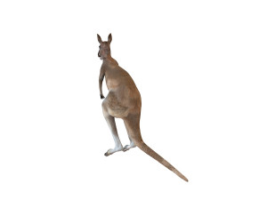 kangaroo rigged animal 3D 모델