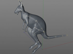 kangaroo rigged animal 3D 모델