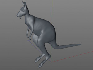 kangaroo rigged animal 3D 모델