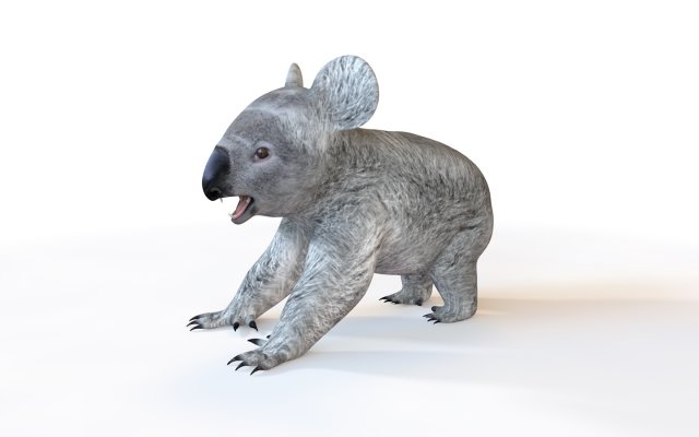 koala rigged animal Model 3D .c4d .max .obj .3ds .fbx .stl .blend 