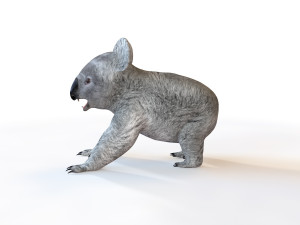 koala rigged animal Model 3D