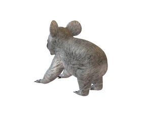 koala rigged animal 3D Model