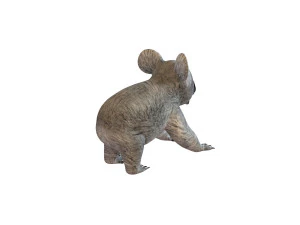 koala rigged animal 3D Model