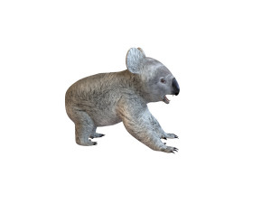 koala rigged animal Model 3D