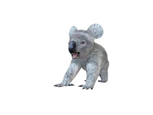 koala rigged animal 3D Model