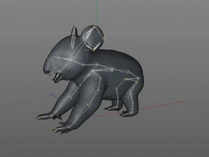 koala rigged animal 3D Model