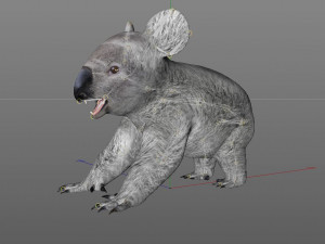 koala rigged animal Model 3D