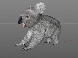koala rigged animal 3D Model