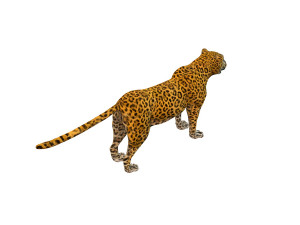 leopard rigged animal Modèle 3D