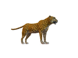 leopard rigged animal Modèle 3D