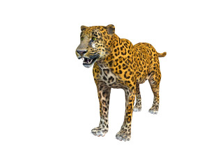 leopard rigged animal Modèle 3D